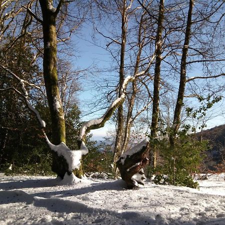 B&B Fromenteau Ternant  Exteriör bild
