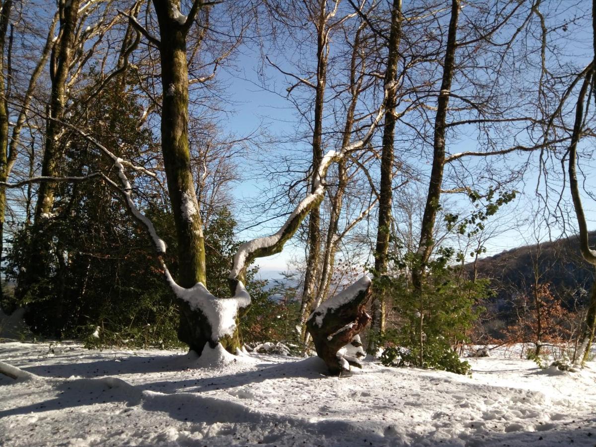 B&B Fromenteau Ternant  Exteriör bild